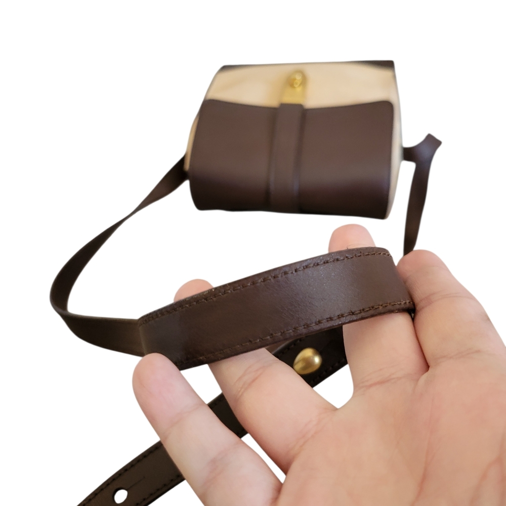 Celine Canvaa Leather Brown Cream Crossbody Bag - Picture 6 of 16